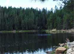 Bear Canyon Lake