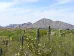 View of Camelback Mountain