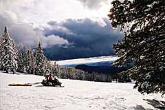 Snow in Flagstaff