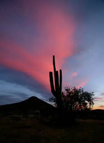 Arizona Sunset Pictures 26