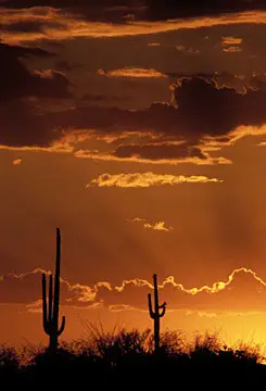 Tucson Area Photo Orange Sunset