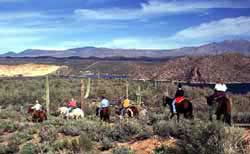 Horseback Riding