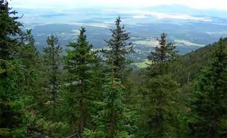 Picture of View of Flagstaff From Humphreys Peak Trail