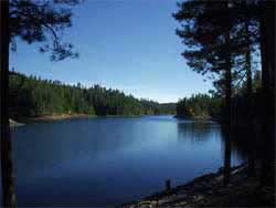 Knoll Lake Near Payson AZ
