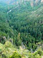 Aerial view of Oak Creek Canyon
