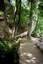 Outlet Trail of Montezuma Well