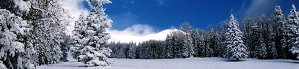 Image result for winter scene banner