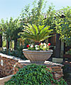 Cibola Vista Resort and Spa