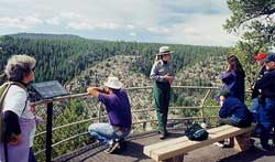 Canyon overlook on Rim Trail