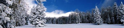 Snowbowl © Robert Body