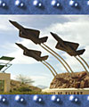 Pima Air & 
					  Space Museum