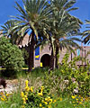 International 
					  Wildlife Museum