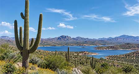 Bartlett Lake surrounded by saguaros and Sonoran Desert mountains in Arizona