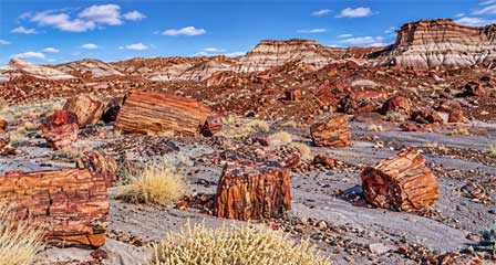 Layered sedimentary formations in shades of gray, purple and red in the Painted Desert