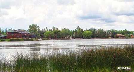 Rainbow Lake Arizona shoreline near Pinetop-Lakeside Arizona