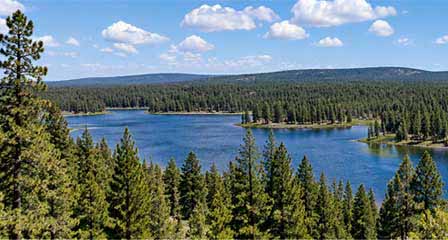 Upper Lake Mary near Flagstaff Arizona surrounded by Coconino National Forest