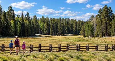 Hannagan Meadow along the Coronado Trail south of Alpine in Arizona's White Mountains