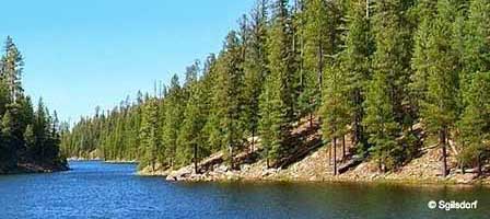 Scenic high-country lake in Arizona's White Mountains