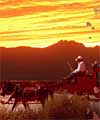 Cowboy Christmas - Rawhide at Wild Horse Pass