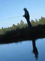 Fishing in the White Mountains