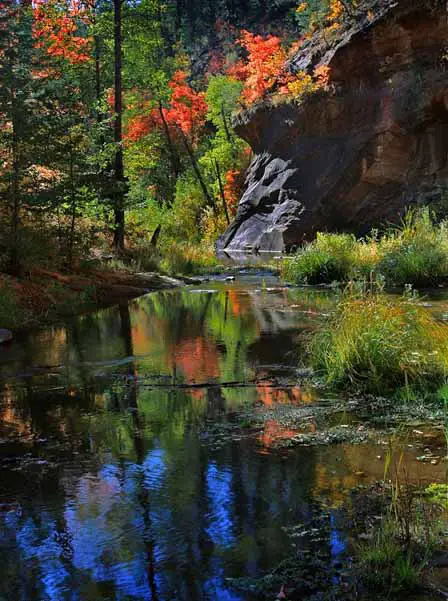 Autumn in West Fork