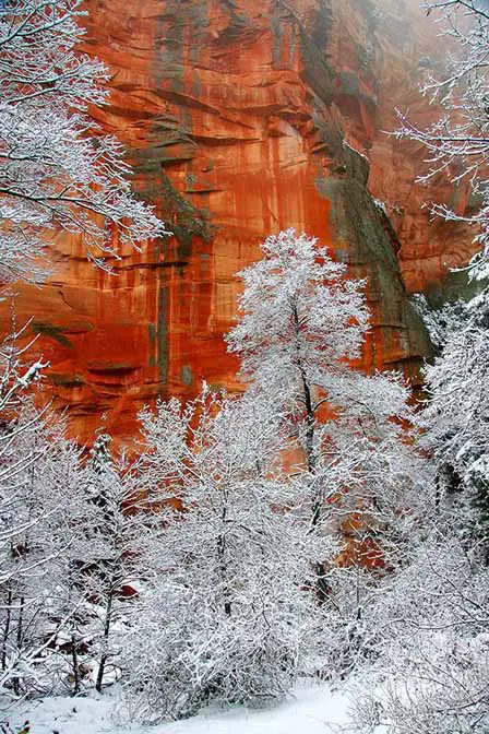 Winter comes to Sedona