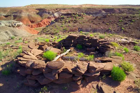 Painted Desert 10