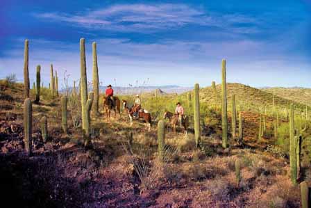 Rancho De Los Caballeros Pictures 1