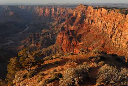 Desert View Picture