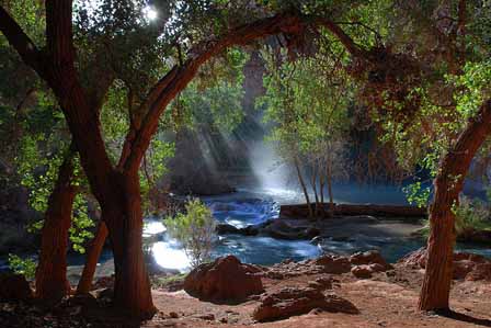 Serenity of Havasu Fall