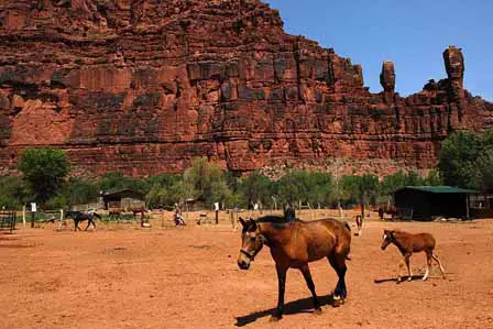 Supai Village