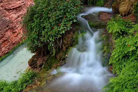 Spring Near Mooney Falls