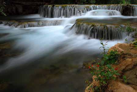 Creek Crossing