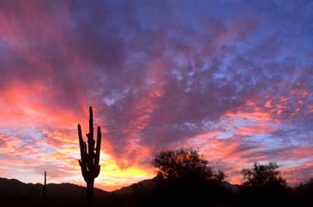 Arizona Sunset Pictures 6