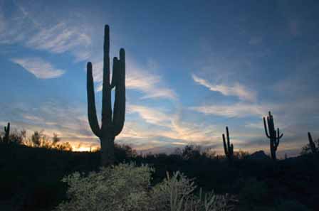 Arizona Sunset Pictures 19