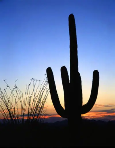 Arizona Sunset Pictures 24