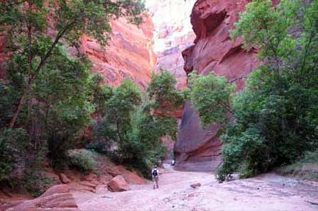 Photo of Vermillion Cliffs, Buckskin Gulch