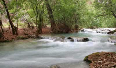 Havasu Creek Near Campgrounds