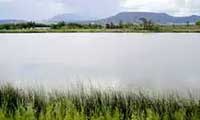 Becker Lake near Springerville Arizona, a trophy trout fishery in the Becker Lake Wildlife Area