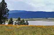 Big Lake Arizona in the White Mountains with forested shoreline boating and fishing