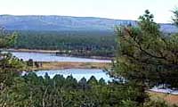 Mormon Lake near Flagstaff Arizona surrounded by ponderosa pine forest
