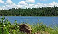 Upper Lake Mary surrounded by ponderosa pine forest and camping areas near Flagstaff Arizona