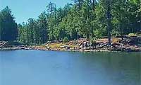 Woods Canyon Lake amongst the pines near Payson Arizona on the Mogollon Rim