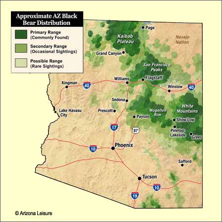 Approximate map of Arizona black bear distribution showing mountain habitats in northern central and eastern Arizona