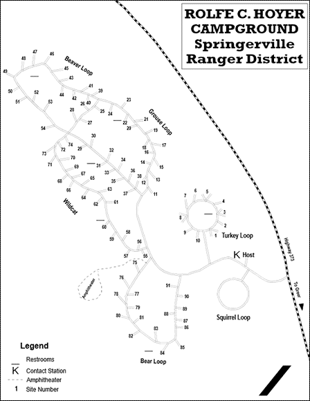 Rolfe C. Hoyer Campground campsite and loop map near Greer Arizona