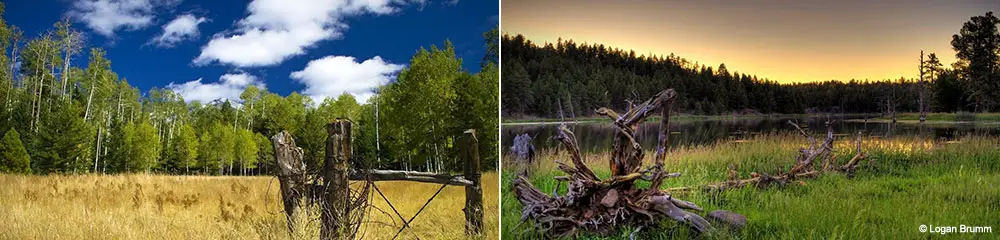 Flagstaff Vacation Rentals In Flagstaff Arizona Az