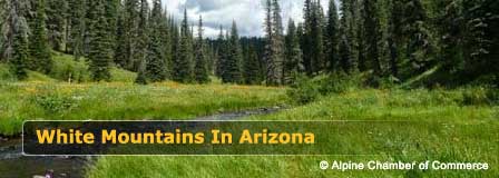 White Mountains In Arizona