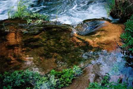 Photo if Oak Creek Canyon Arizona