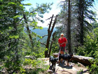 Hiking the Payson Pine Forest