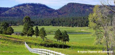 Alpine Arizona